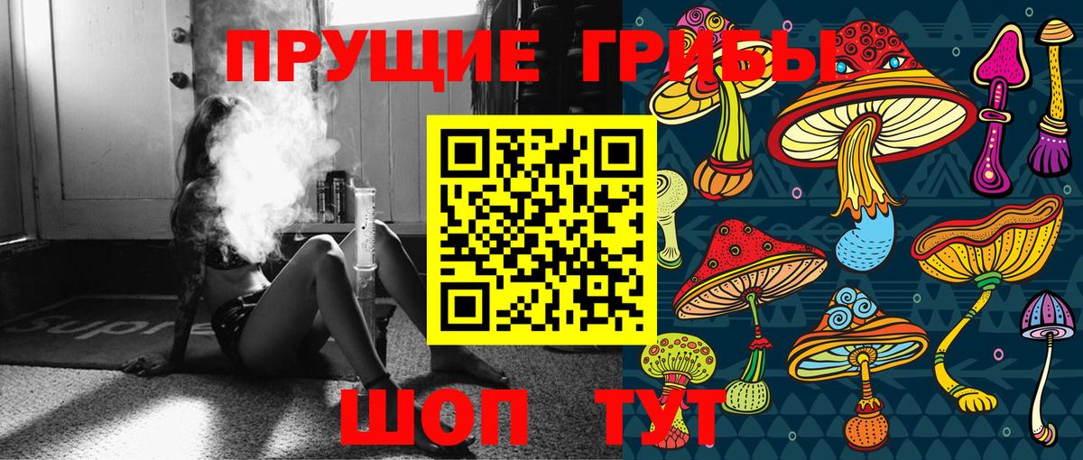 Прохладный  Галлюциногенные грибы Psilocybe  Вход с VPN 