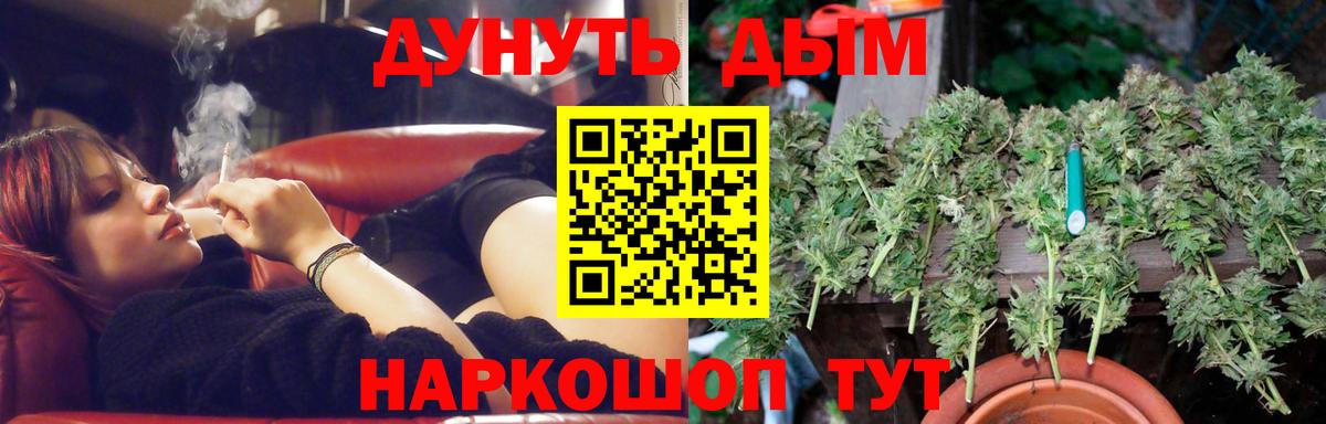 Конопля сатива Прохладный